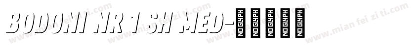 Bodoni NR 1 SH Med字体转换
